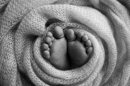 Soft feet of a newborn in a woolen blanket Close-up of toes, heels and feet of a baby.The tiny foot...