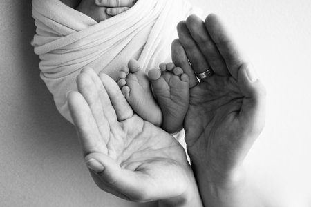 Legs, toes, feet and heels of a newborn. With the hands of parents, father, mother gently holds the childs legs. Macro photography, close-up. Black and white photo. High quality photo.の写真素材