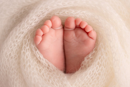 Soft feet of a newborn in a white woolen blanket. Close-up of toes, heels and feet of a newborn babyの写真素材
