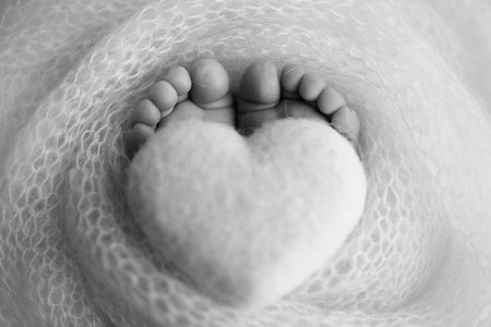 Feet of a newborn close-up in a woolen blanket. Black and white photography.