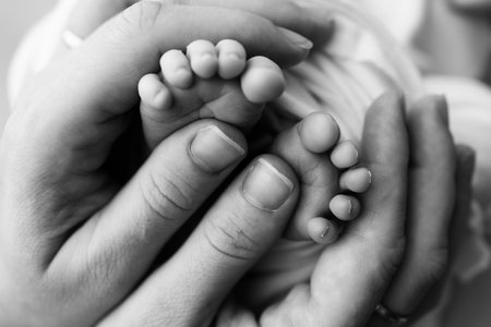 Little feet of a newborn in the hands of mom. The loving palm hand of a mother. Concept image of...