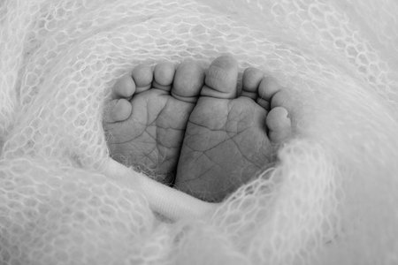 Close-up of tiny, cute, bare toes, heels and feet of a newborn girl, boy. Baby foot on soft...