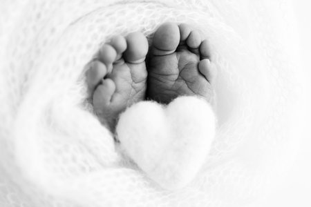 Soft feet of a new born in a wool blanket. Close up of toes, heels and feet of a newborn. Knitted heart in the legs of baby. The tiny foot of a newborn baby. Macro photography. Black and white.の写真素材