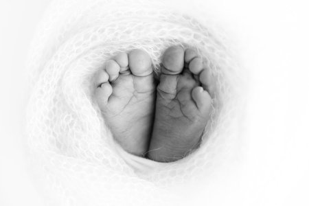 Soft feet of a newborn in a woolen blanket Close-up of toes, heels and feet of a baby.The tiny foot of a newborn. Baby feet covered with isolated background. Black and white studio macro photographyの写真素材
