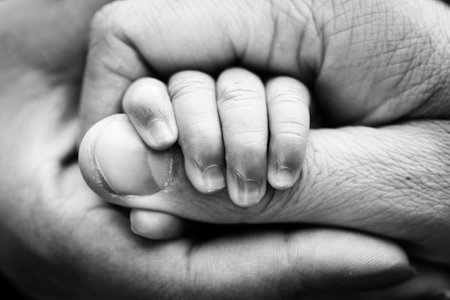 Close-up of the small hand of the child and the hand of the mother and father. A newborn baby after birth clings tightly to the finger of its parents. Black and white professional studio macro photoの写真素材