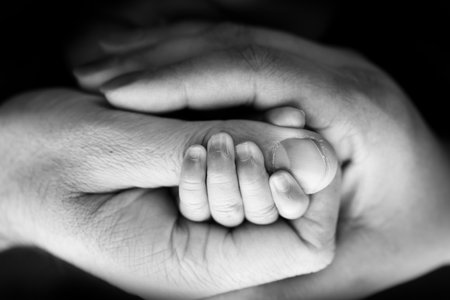 Close-up of the small hand of the child and the hand of the mother and father. A newborn baby after birth clings tightly to the finger of its parents. Black and white professional studio macro photoの写真素材
