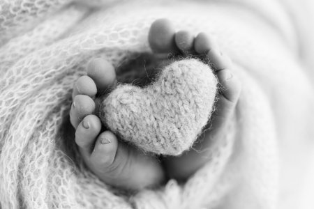 The tiny foot of a newborn baby. Soft feet of a new born in a wool blanket. Close up of toes, heels and feet of a newborn. Knitted heart in the legs of baby. Macro photography. Black and white.の写真素材