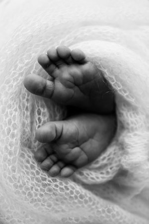 The tiny foot of a newborn baby. Soft feet of a new born in a wool blanket. Close up of toes, heels and feet of a newborn. Knitted heart in the legs of baby. Macro photography. Black and whiteの写真素材