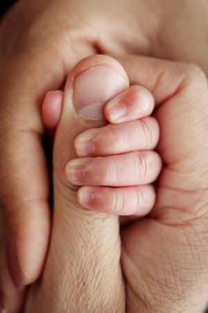 The newborn baby has a firm grip on the parents finger after birth.の写真素材