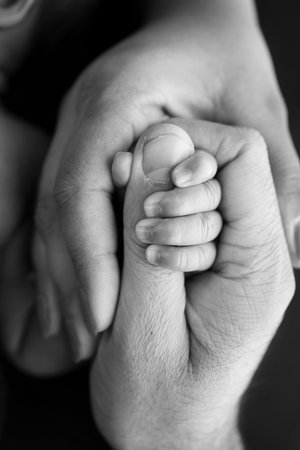 Close-up of the small hand of the child and the hand of the mother and father.の写真素材