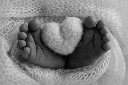 The tiny foot of a newborn baby. Soft feet of a new born in a wool blanket. Close up of toes, heels and feet of a newborn. Knitted heart in the legs of baby. Macro photography. Black and white.の写真素材