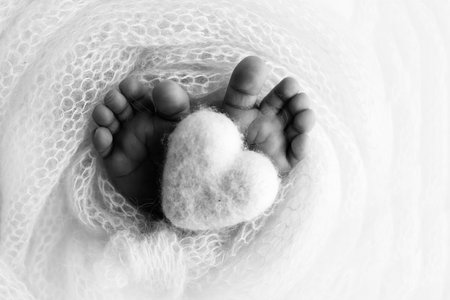 The tiny foot of a newborn baby. Soft feet of a new born in a wool blanket. Close up of toes, heels and feet of a newborn. Knitted heart in the legs of baby. Macro photography. Black and white.の写真素材