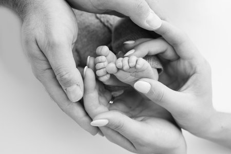 The palms of the father, the mother are holding the foot of the newborn baby on white background. Feet of the newborn on the palms of the parents. Photography of a childs toes, heels and feet.の写真素材