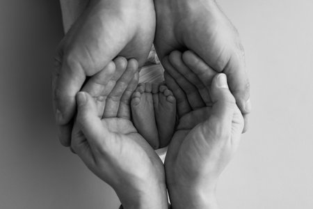 The palms of the father, the mother are holding the foot of the newborn baby. Feet of the newborn on the palms of the parents. Photography of a childs toes, heels and feet. Black and white macro.の写真素材