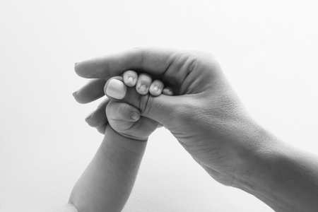 Parents hands hold the fingers of a newborn baby. The hand of a mother and father close-up holds the...