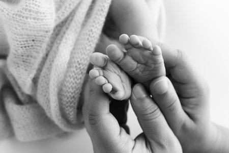 Childrens foot in the hands of mother, father, parents. Feet of a tiny newborn close up. Little baby legs. Mom and her child. Happy family concept. Black and white image of motherhood stock photo.の写真素材