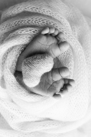 The tiny foot of a newborn baby. Soft feet of a new born in a wool blanket. Close up of toes, heels and feet of a newborn. Knitted heart in the legs of a baby. Black and white Macro photography.の写真素材