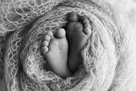 The tiny foot of a newborn baby. Soft feet of a new born in a wool blanket. Close up of toes, heels and feet of a newborn. Black and white Macro photography.の写真素材