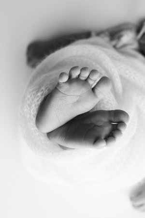 The tiny foot of a newborn baby. Soft feet of a new born in a blanket. Close up toes, heels and feet of a newborn. Black and white vertical Macro photography.の写真素材