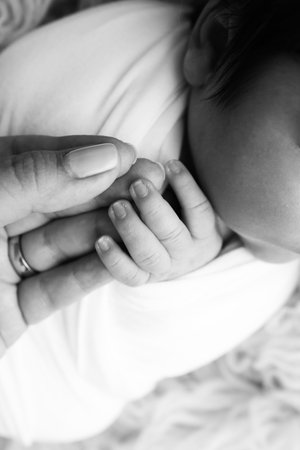 Close-up of babys small hand, head, ear and palm of mother. Macro. Black and white Photo of Newborn baby after birth tightly holding parents finger. Family and home concept. Healthcare, paediatricsの写真素材