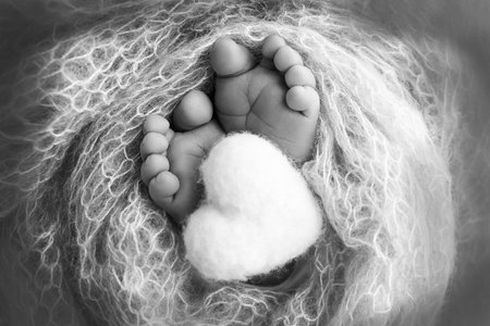 The tiny foot of a newborn baby. Soft feet of a new born in a wool blanket. Close up of toes, heels and feet of a newborn. Knitted heart in the legs of a baby. Black and white Macro photography.の写真素材