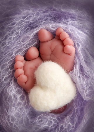 Soft feet of a new born in a lilac, purple. toes, heels and feet of a newborn. Knitted white heartの写真素材