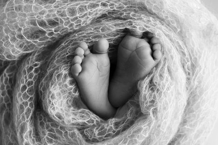 The tiny foot of a newborn baby. Soft feet of a new born in a wool blanket. Close up of toes, heels and feet of a newborn. Black and white Macro photography.の写真素材