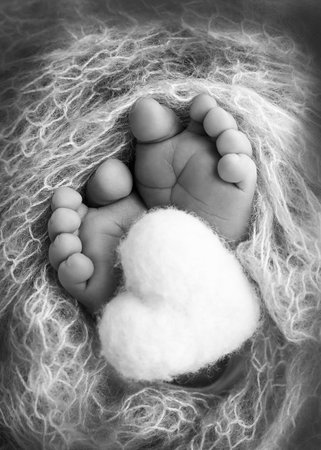 The tiny foot of a newborn baby. Soft feet of a new born in a wool blanket. Close up of toes, heels and feet of a newborn. Knitted heart in the legs of a baby. Black and white Macro photography.の写真素材