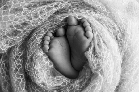 Soft feet of a new born in a wool blanket. Close up of toes, heels and feet of a newborn.