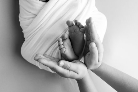 The palms of the father, the mother are holding the foot of the newborn baby. Feet of the newborn on...