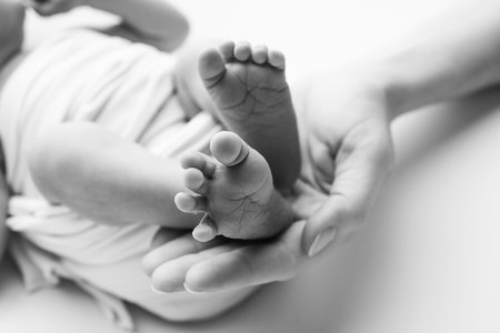 The palms of the father, the mother are holding the foot of the newborn baby. Feet of the newborn on the palms of the parents. Studio macro black and white photo of a childs toes, heels and feet.の写真素材