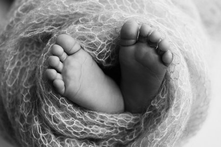 The tiny foot of a newborn baby. Soft feet of a new born in a wool blanket. Close up of toes, heels and feet of a newborn. Black and white Macro photography.の写真素材