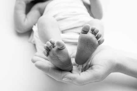 The palms of the father, the mother are holding the foot of the newborn baby.の写真素材