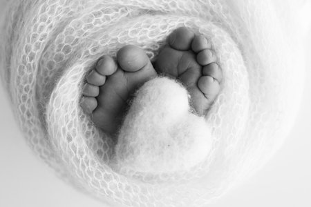 Close up of toes, heels and feet of a newborn. Knitted heart in the legs of a baby. Black and whiteの写真素材