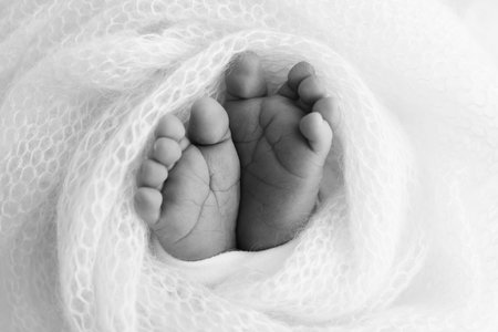 The tiny foot of a newborn baby. Soft feet of a new born in a wool blanket. Close up of toes, heels and feet of a newborn. Black and white Macro photography.の写真素材