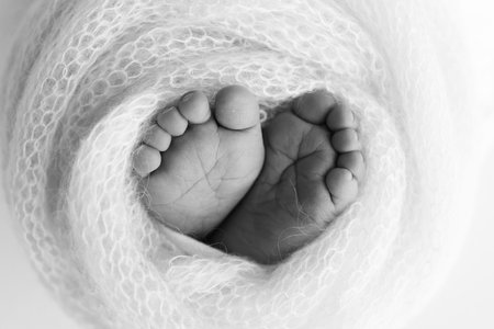 The tiny foot of a newborn baby. Black and white Macro photography.の写真素材