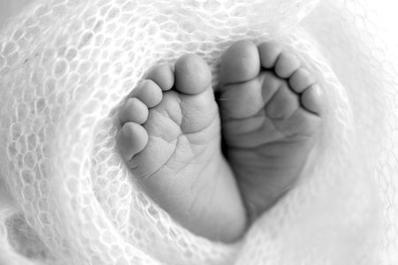 Foot of a newborn. Close up feet, toes, heels, feet of a newborn baby. Studio monochrome, vintage style, black and white macro photography.の写真素材