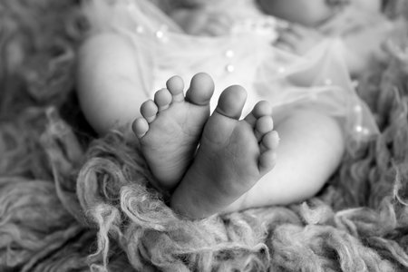 Foot of a newborn. Close up feet, toes, heels, feet of a newborn baby. Studio monochrome, vintage style, black and white macro photography.の写真素材