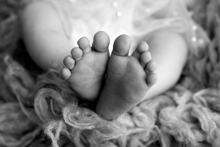Foot of a newborn. Close up feet, toes, heels, feet of a newborn baby. Studio monochrome, vintage style, black and white macro photography.の写真素材