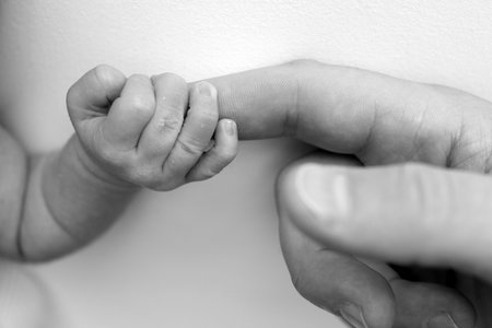 The newborn baby has a firm grip on the parents finger after birth. Close-up little hand of child and palm of mother and father. Parenting, childcare and healthcare concept. Black and white photo.の写真素材