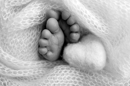 The tiny foot of a newborn baby. Soft feet of a new born in a wool blanket. Close up of toes, heels and feet of a newborn. Knitted heart in the legs of a baby Studio macro photography. Black and whiteの写真素材