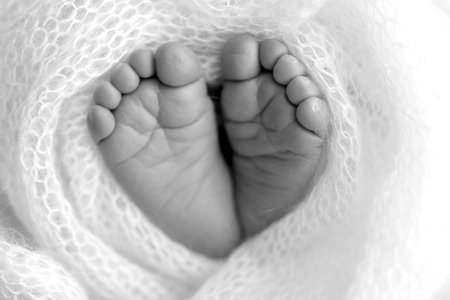 Foot of a newborn. Close up feet, toes, heels, feet of a newborn baby. Studio monochrome, vintage style, black and white macro photography.の写真素材
