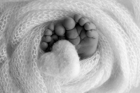 Close up of toes, heels and feet of a newborn. Knitted heart in the legs of a baby Black and whiteの写真素材