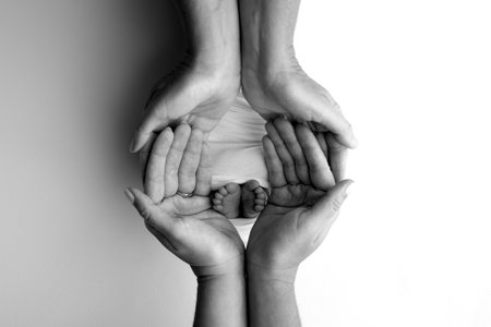 The palms of the parents. A father and mother hold the feet of a newborn child in a blanket. The feet of a newborn in the hands of parents. Black and white Photo of foot, heels and toesの写真素材