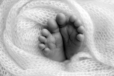 Foot of a newborn. Close up feet, toes, heels, feet of a newborn baby. Studio monochrome, vintage style, black and white macro photography.の写真素材