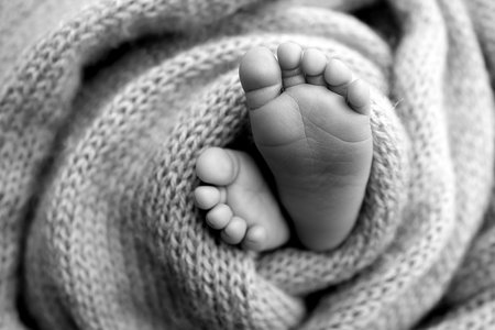 Foot of a newborn. Close up feet, toes, heels, feet of a newborn baby. Studio monochrome, vintage style, black and white macro photography.の写真素材