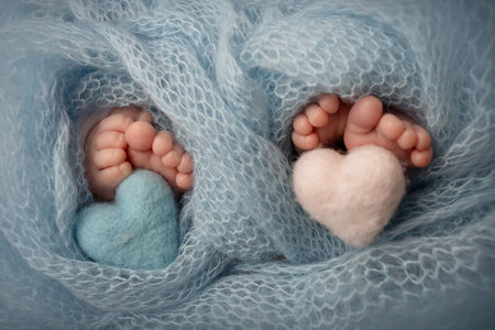 Feet of newborn twins. Two pairs of baby feet in a blue blanket. Pink and blue knitted hearts.の写真素材