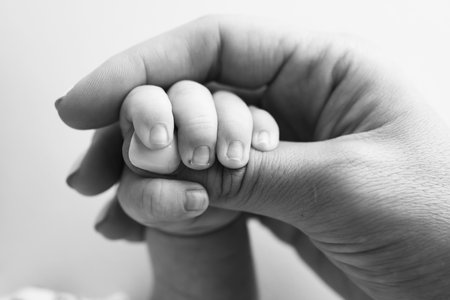 Parents hands hold the fingers of a newborn baby. Tiny fingers in a black whiteの写真素材