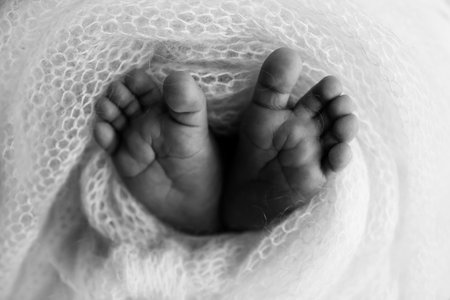 The tiny foot of a newborn baby. Soft feet of a new born in a wool blanket. Close up of toes, heels and feet of a newborn. Knitted heart in the legs of baby. Macro photography. Black and whiteの写真素材