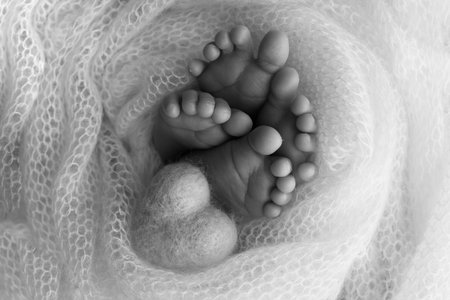 Legs, toes, feet and heels of newborn twins. Wrapped in a knitted blanket.の写真素材